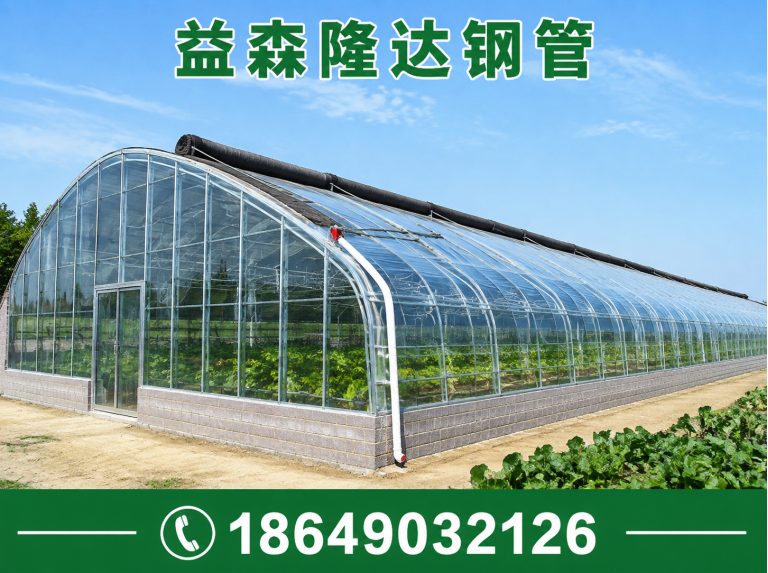 红桥区日光温室大棚，连栋温室大棚，单体大棚，塑料大棚，育苗大棚，养殖大棚展示图